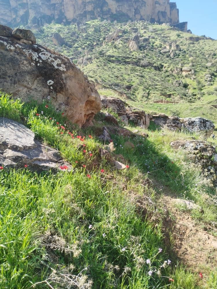 راهنمایی کسب و کار|فعالیت داوطلبانه|دزفول, |دیوار