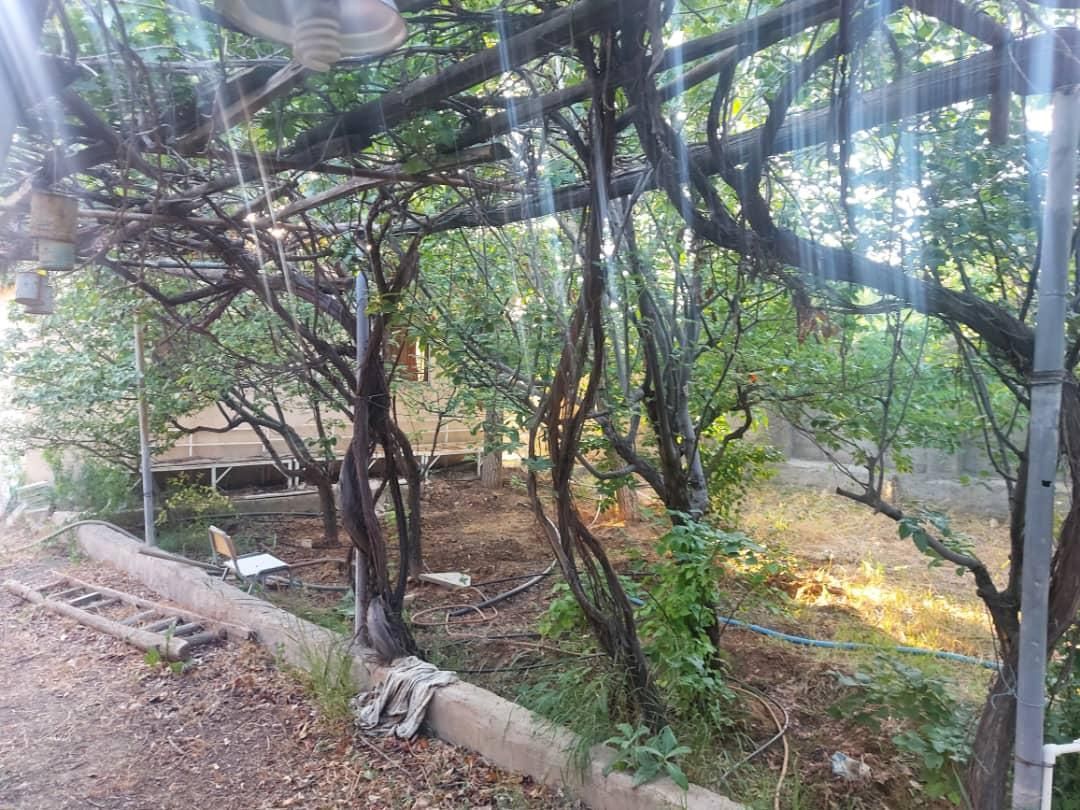 ۱۰۲۰ متر باغ / / ۹۱ متر بنا/چنار غرب/فوری فروشی|فروش زمین و ملک کلنگی|رودهن, |دیوار