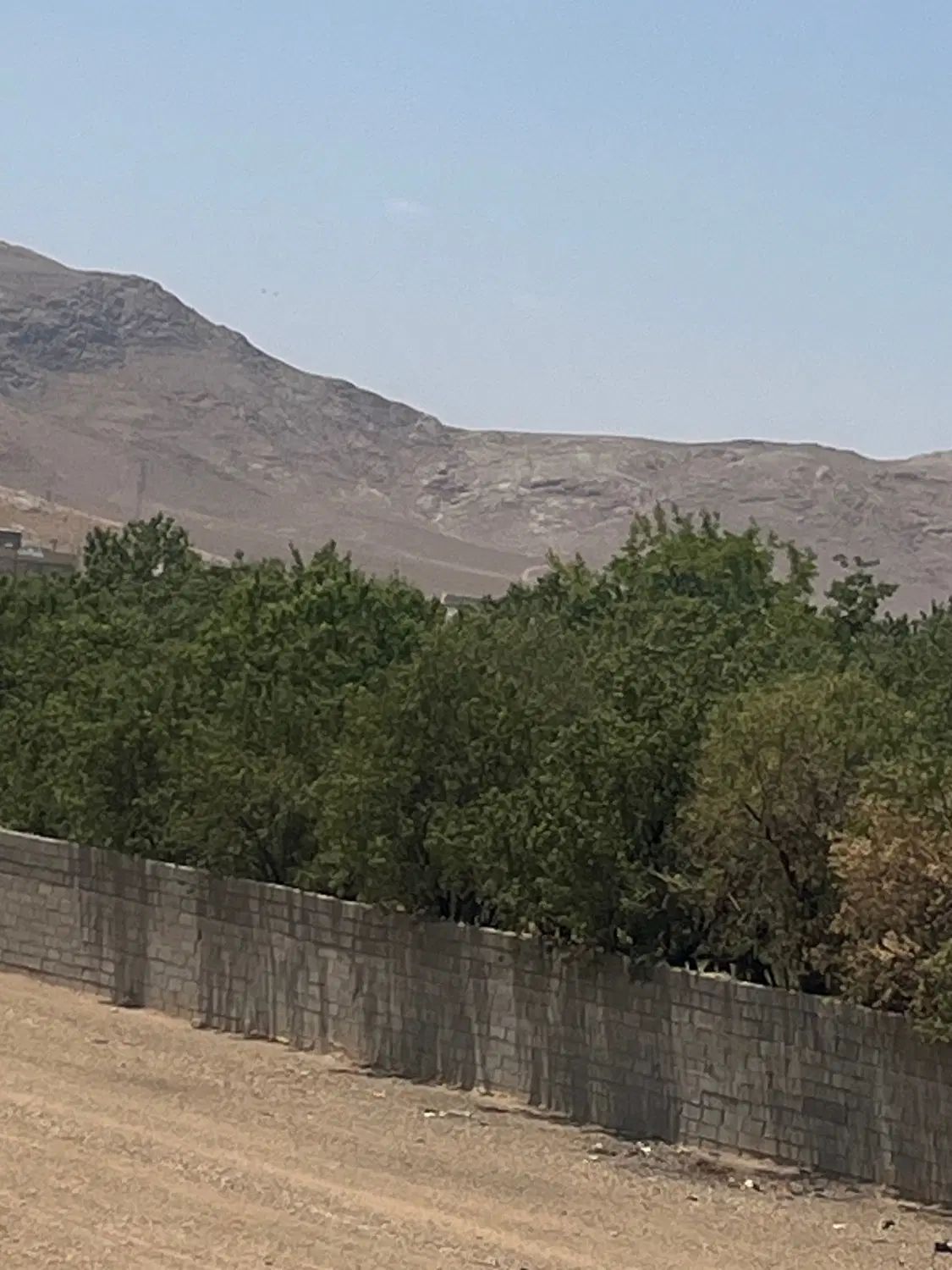 فروش آب قنات،باغ ، باغچه ، زمین کشاورزی با آب قنات|فروش دفتر صنعتی، کشاورزی، تجاری|آباده, |دیوار