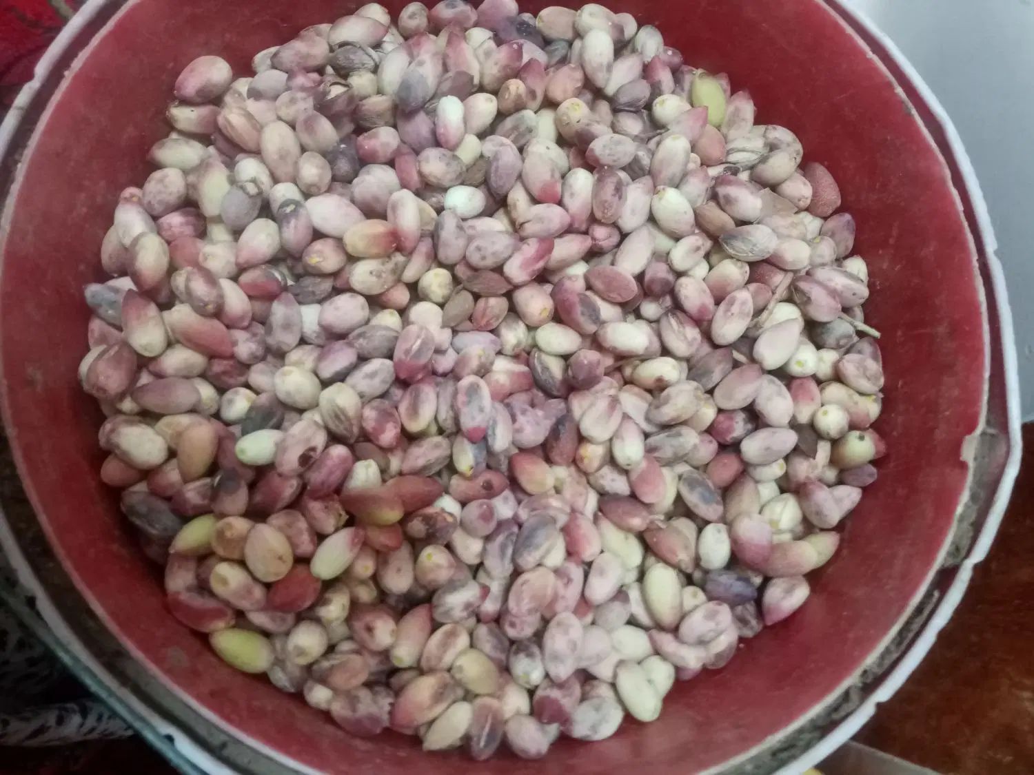 پسته سفید درجه یک تازه مه ولات ارسال رایگان|خوردنی و آشامیدنی|مشهد, سیس‌آباد|دیوار