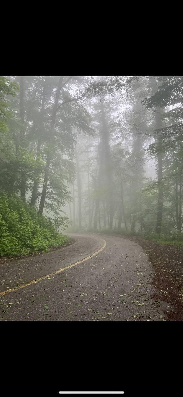 سوئیت ویلایی|اجارهٔ کوتاهمدت آپارتمان و سوئیت|گلوگاه, |دیوار