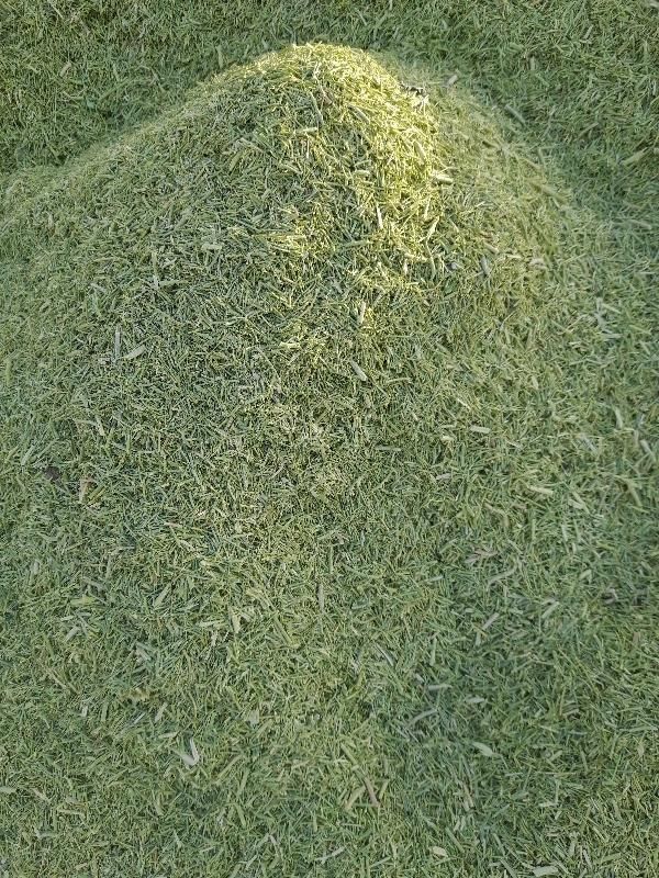 خار، کاه، پرس|لوازم جانبی حیوانات|مشهد, شهرک شهید باهنر|دیوار