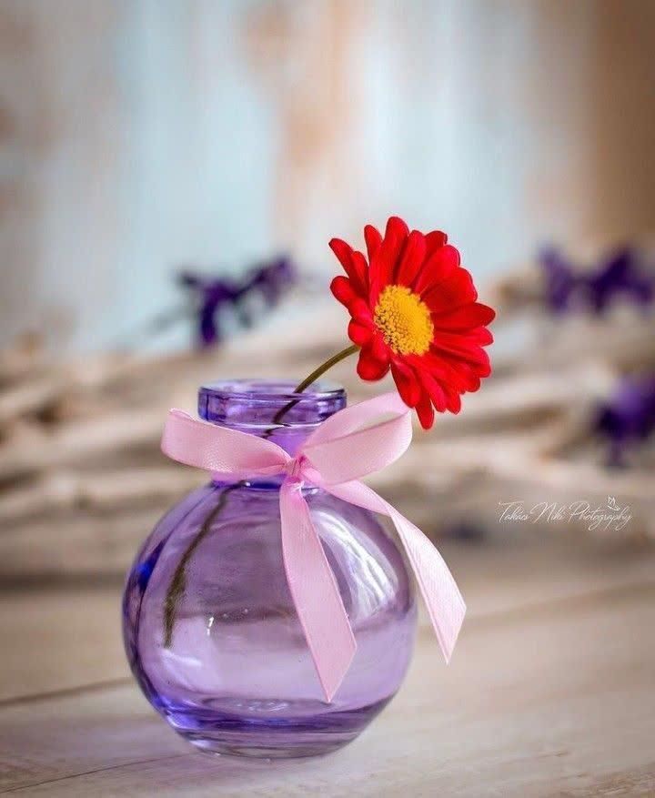 پایان نامه. مقاله. انجام خدمات دانشجویی(اقساط)|خدمات آموزشی|کرمان, |دیوار