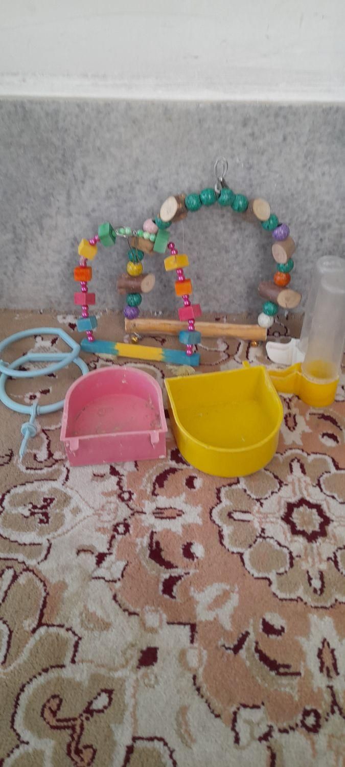 لوازم قفس|لوازم جانبی حیوانات|قم, کلهری|دیوار