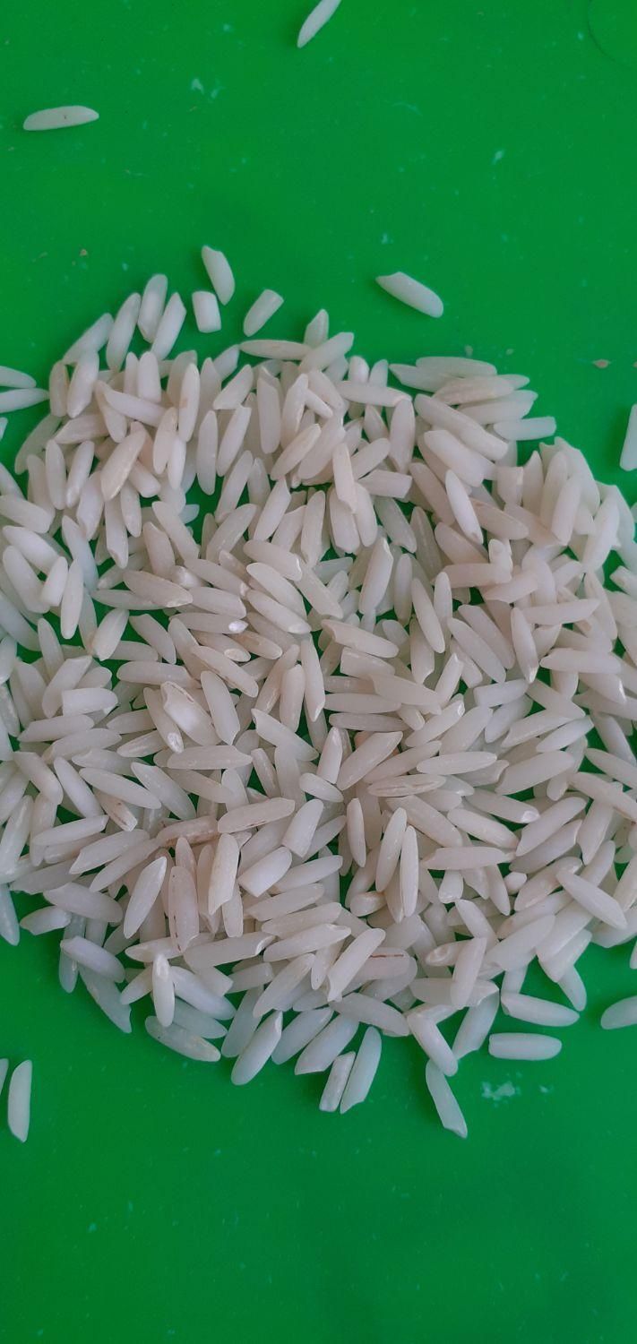 برنج محلی هاشمی|خوردنی و آشامیدنی|رشت, چمارسرا|دیوار