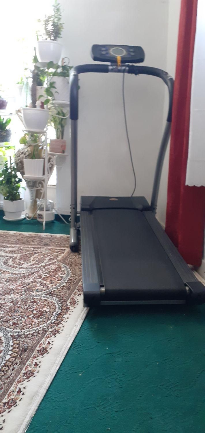 تردمیل|تجهیزات ورزشی|کرج, کلاک بالا|دیوار