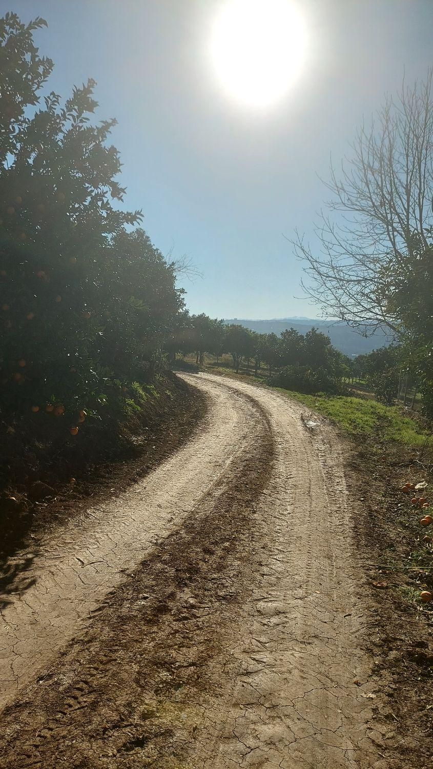 زمین دو نبش با چشم انداز ابدی|فروش زمین و ملک کلنگی|ارطه, |دیوار