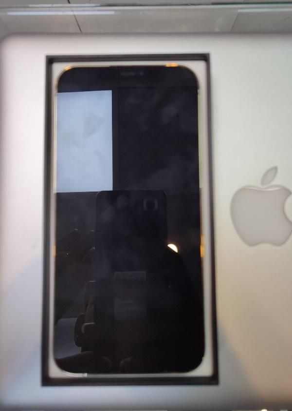 اپل iPhone 12 Pro Max با حافظهٔ ۲۵۶ گیگابایت|موبایل|تهران, شهرک محلاتی|دیوار