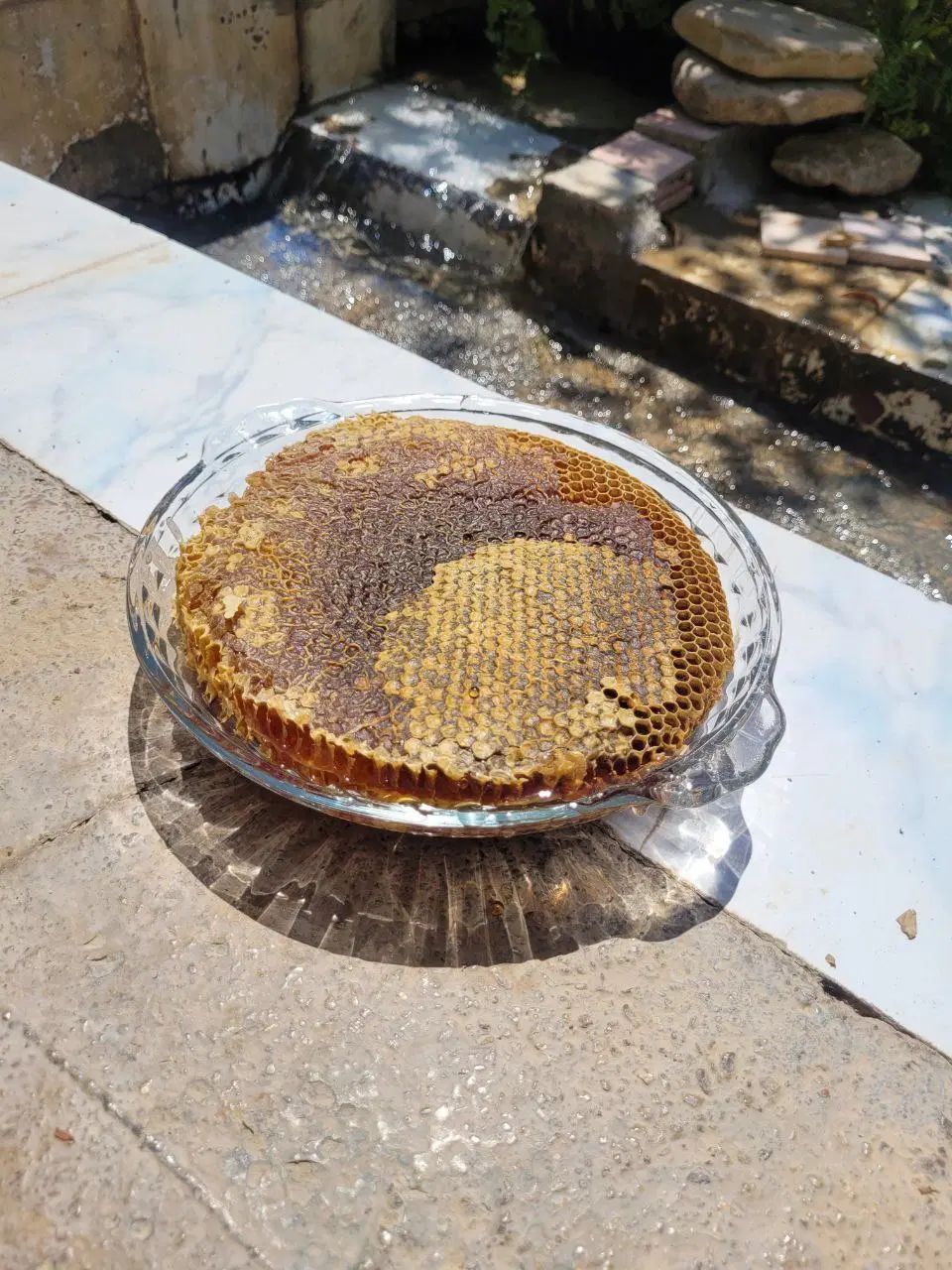 عسل کوهسار کلیدر  عسل ۱۰۰٪ طبیعی کوهستانی بینالود|خوردنی و آشامیدنی|مشهد, راهنمایی|دیوار
