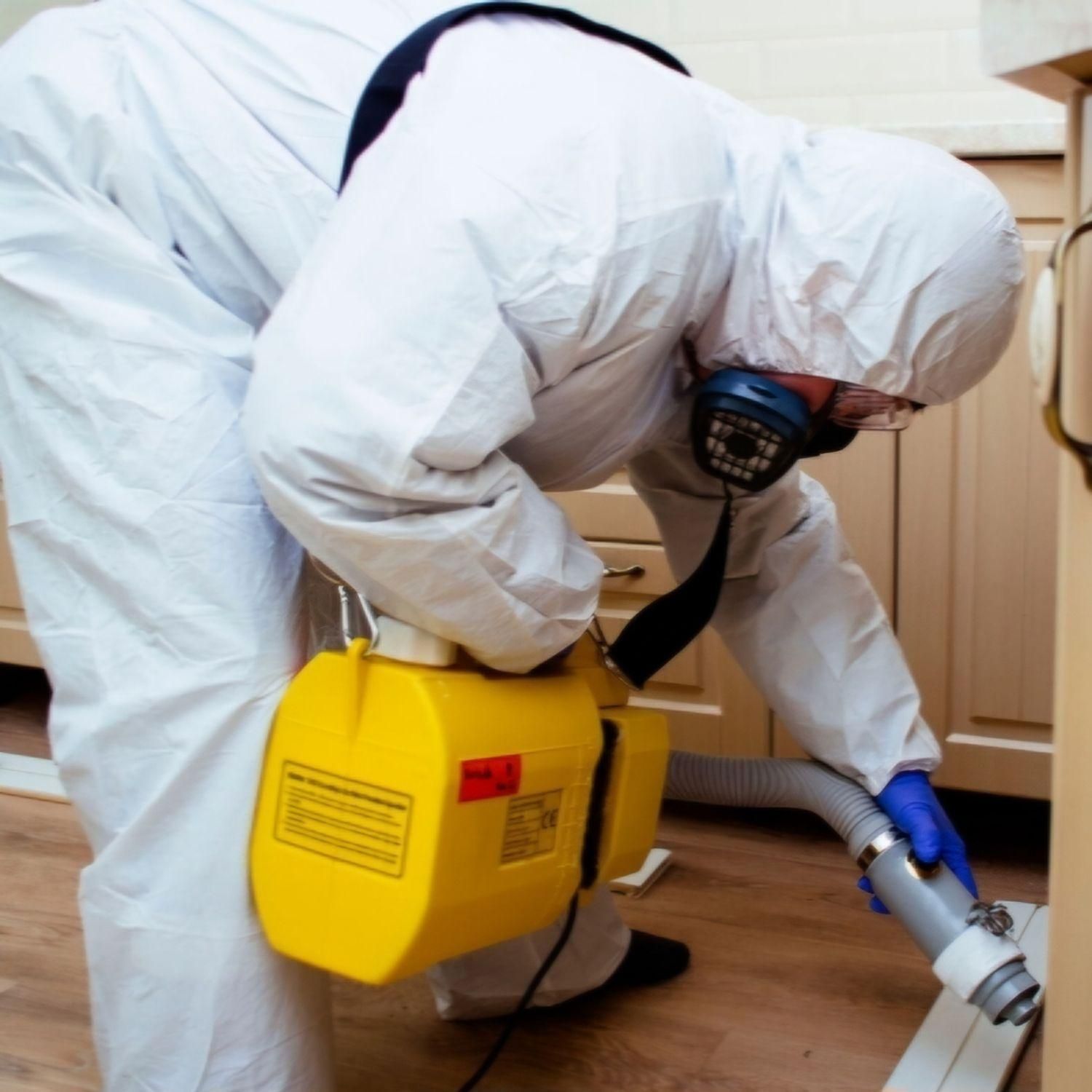 سمپاشی/منازل/شرکت ها/سم پاشی موریانه حشرات تضمینی|خدمات نظافت|اهواز, شریعتی جنوبی|دیوار