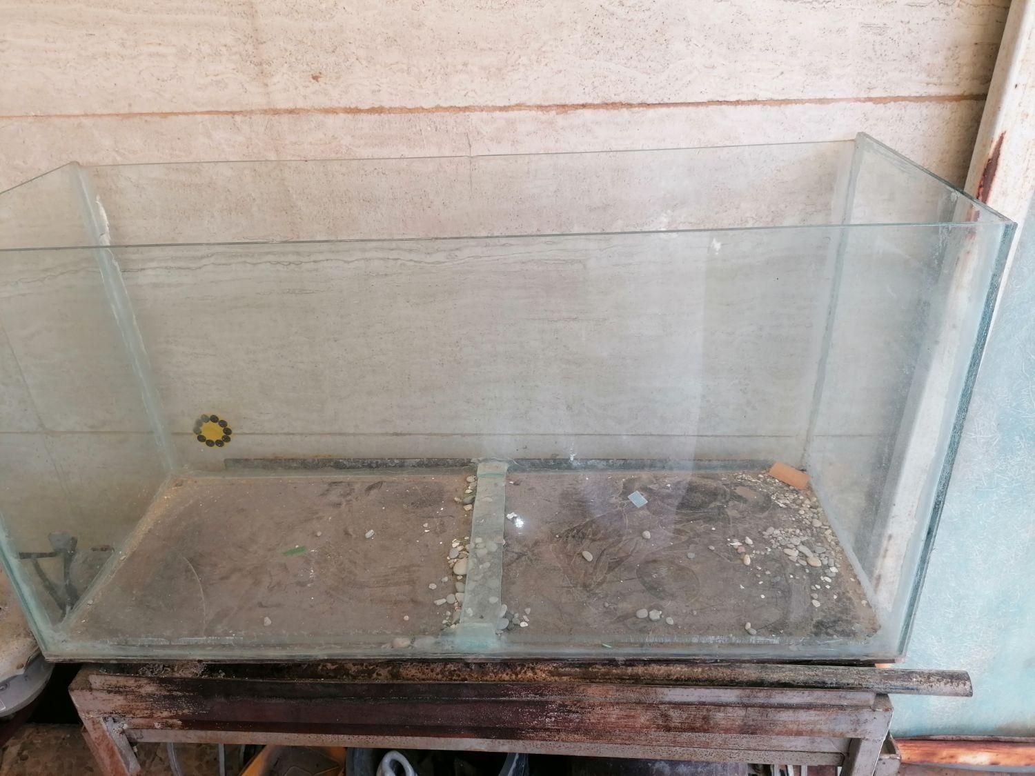 اکواریوم|ماهی|اهواز, زیتون کارمندی|دیوار