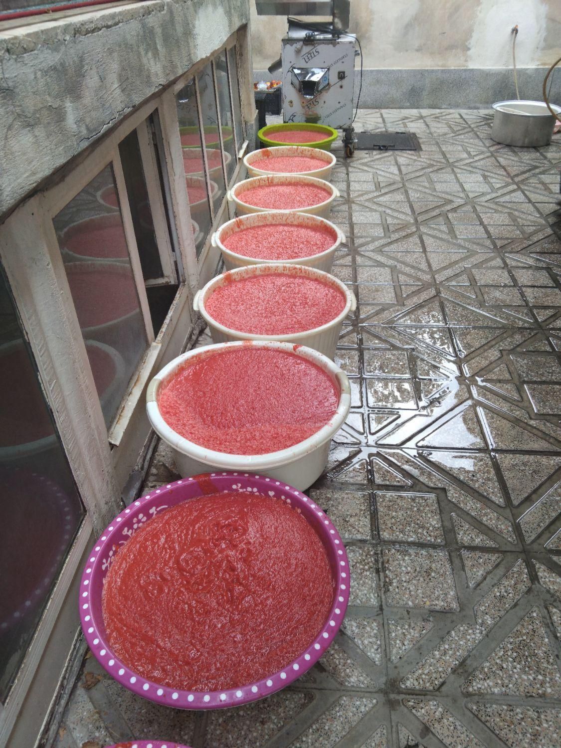 ابگیری گوجه سبزی خردکنی اب گیری گوجه ابغوره گیری|خدمات پیشه و مهارت|همدان, |دیوار