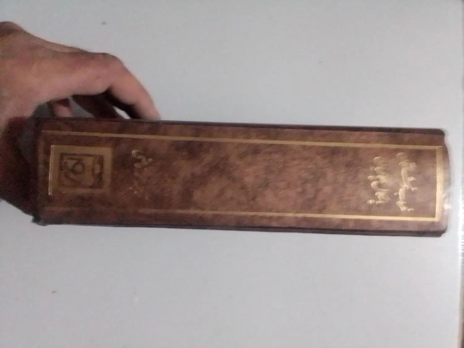 غروب فرشتگان|کتاب و مجله ادبی|تهران, جهاد|دیوار