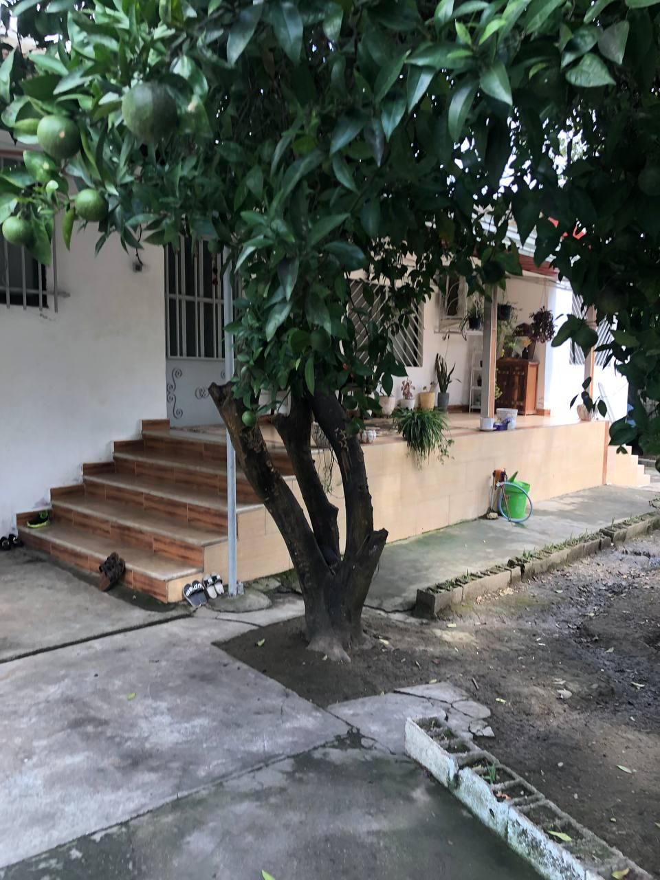 فروش باغ و خانه باسند تک برگ **تخفیف ویژه**|فروش خانه و ویلا|قائمشهر, |دیوار