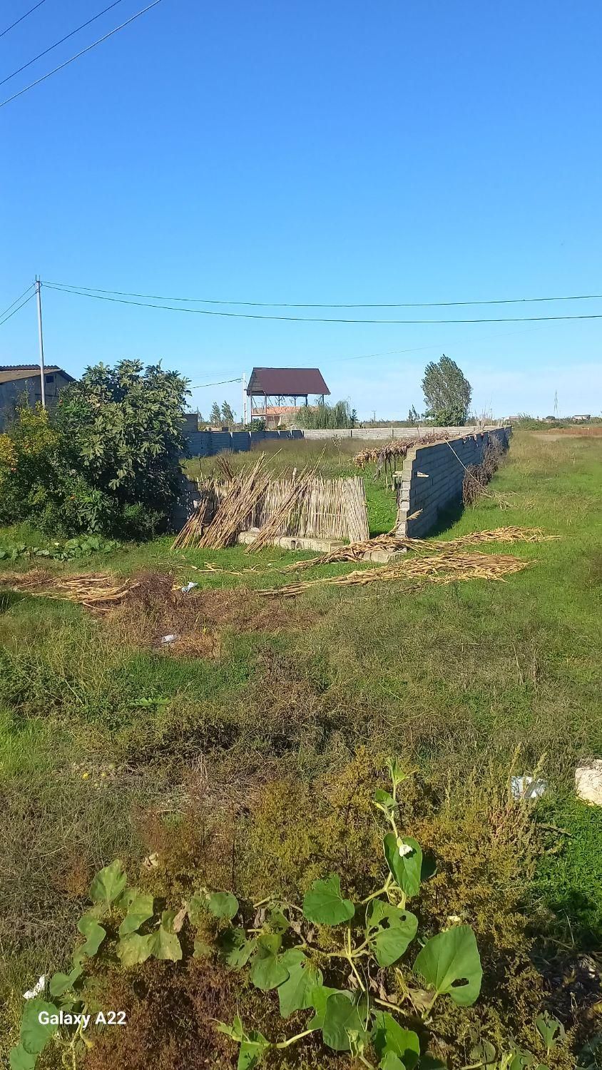 زمین ۱۶۰۰. متر جاده بهشهر زاغمرز زینوند|فروش زمین و ملک کلنگی|رستمکلا, |دیوار