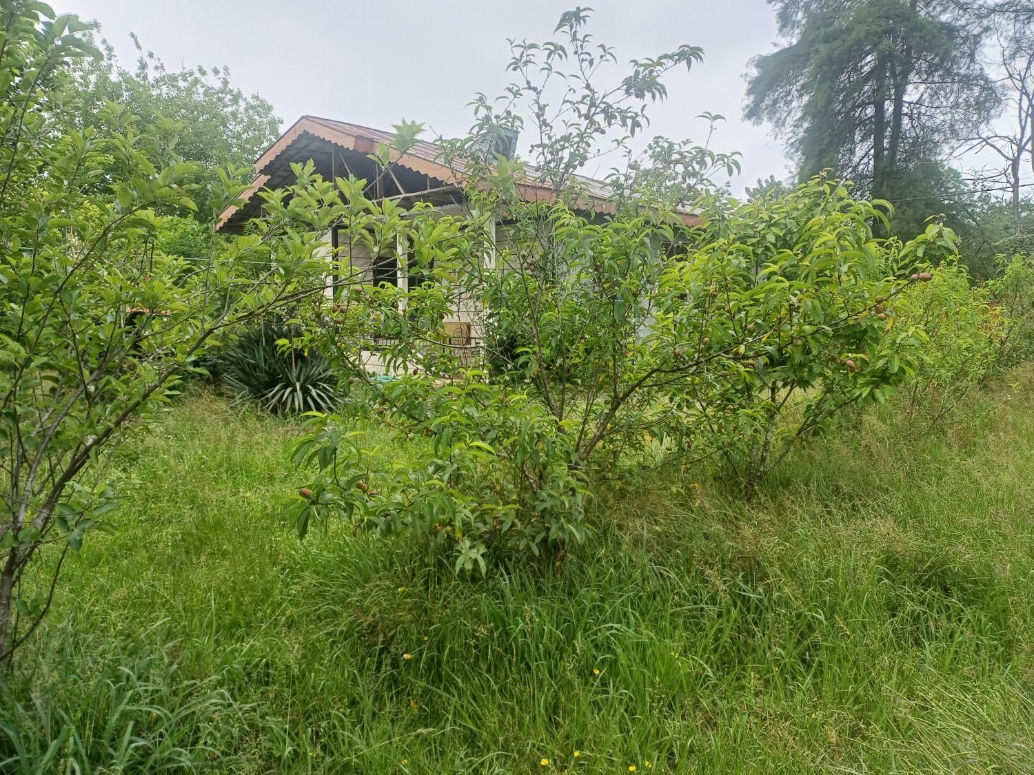 اجاره ویلاباغ دوخواب حیاط بزرگ دربست باامکانات|اجارهٔ کوتاهمدت ویلا و باغ|ماسال, |دیوار