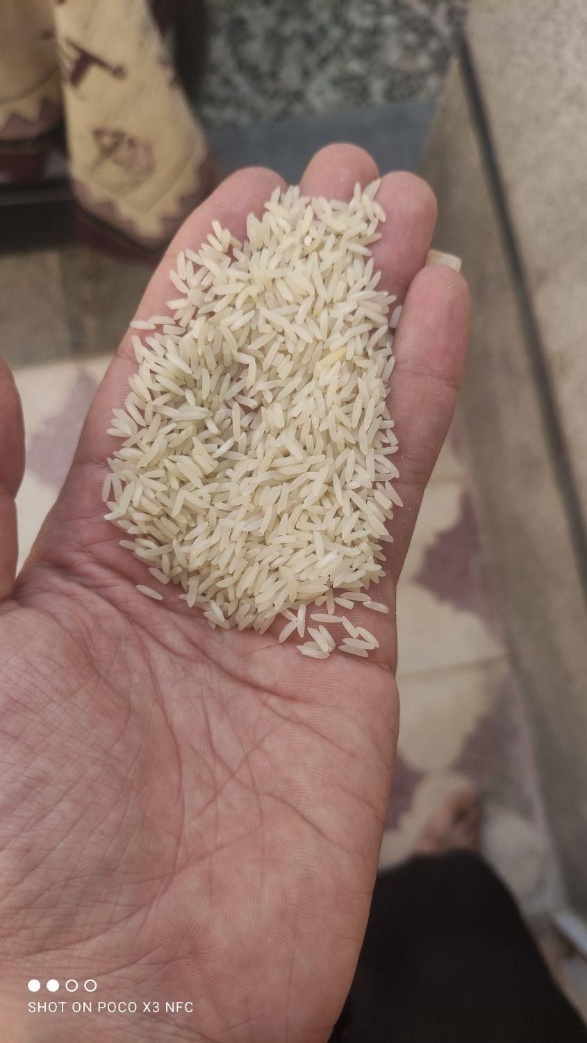 انواع برنج ایرانی و محلی|خوردنی و آشامیدنی|شیراز, دارالرحمه|دیوار