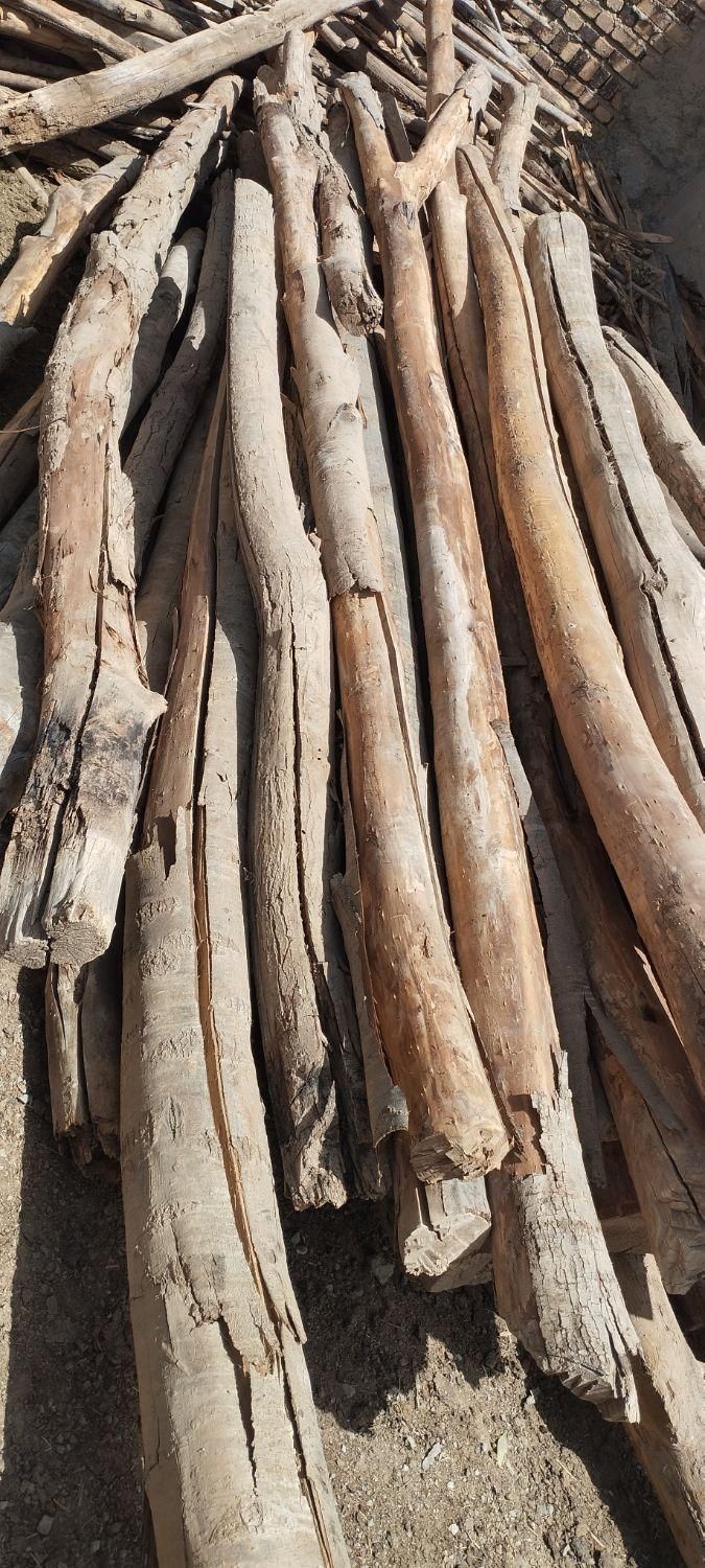 خرید چوب باغی و تیره سقفی و تسویه پای باسکول|خدمات باغبانی و درختکاری|کنگاور, |دیوار