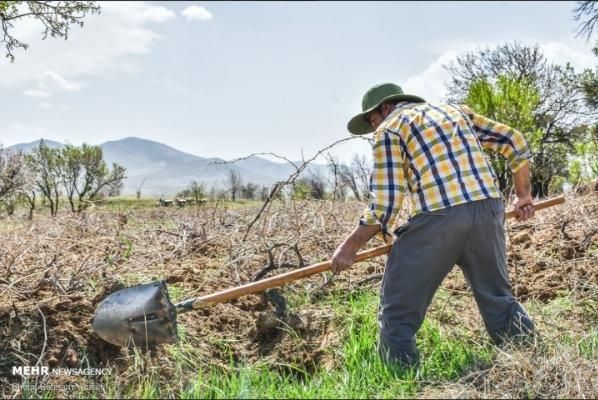 کارگرباغبانی باغ بیل زنی باغچه وعلف زنی شخم زنی|خدمات باغبانی و درختکاری|ارومیه, |دیوار