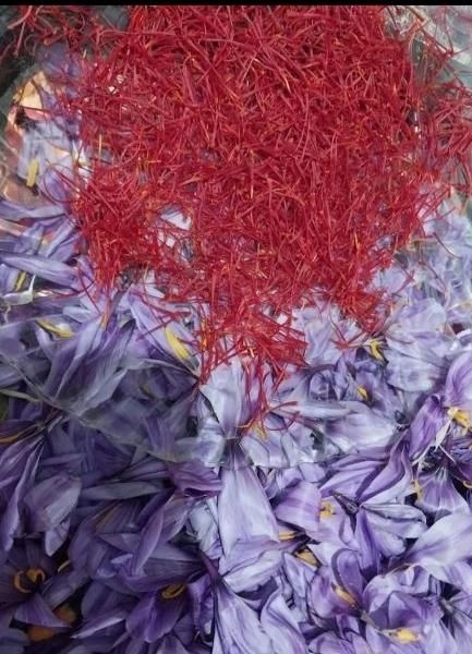 میسونم طلای سرخ سنتی|جواهرات|خرمآباد, |دیوار