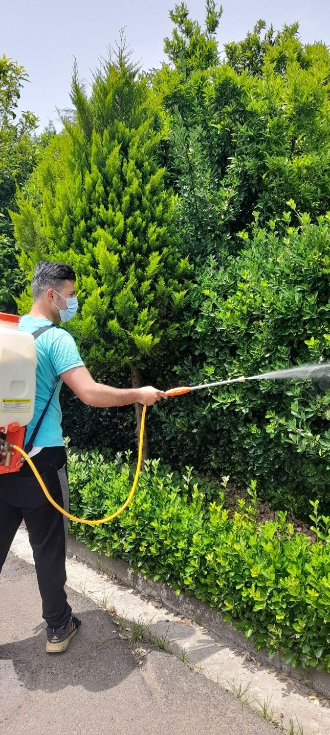 خدمات تخصصی باغبانی و فضای سبز|خدمات باغبانی و درختکاری|بندر انزلی, کارآموزی|دیوار