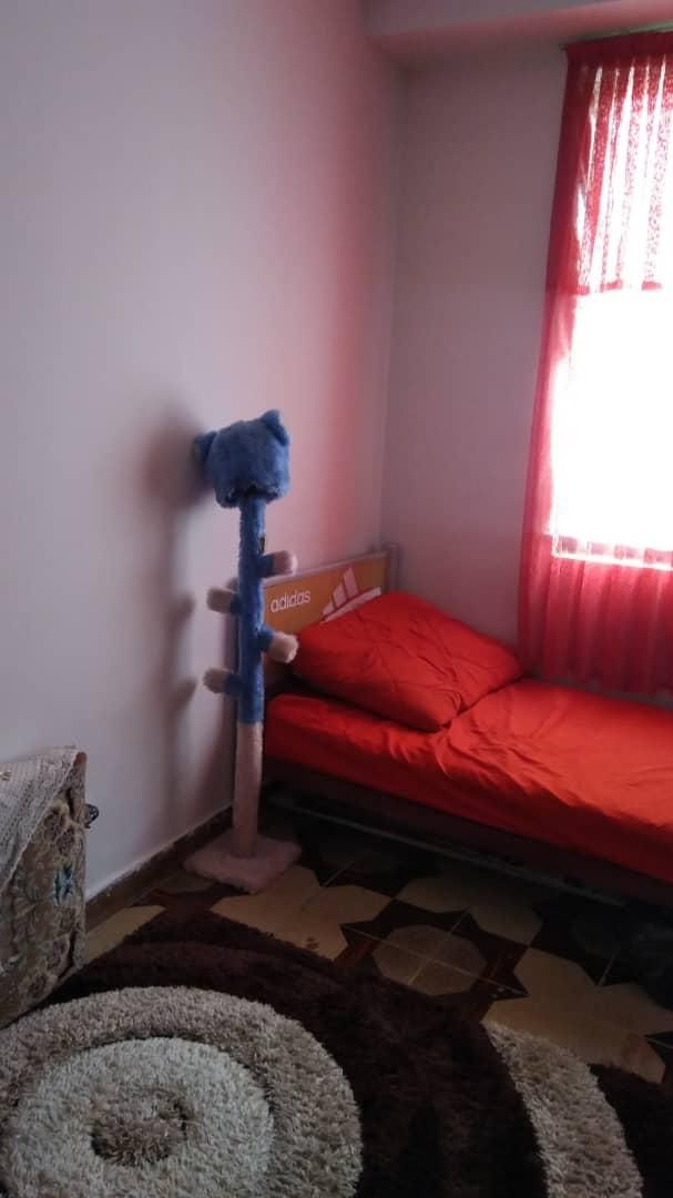 آپارتمان ۱۲۰ متری ابتدای خیابان گلستانک|اجارهٔ آپارتمان|محمدشهر, سیدآباد|دیوار