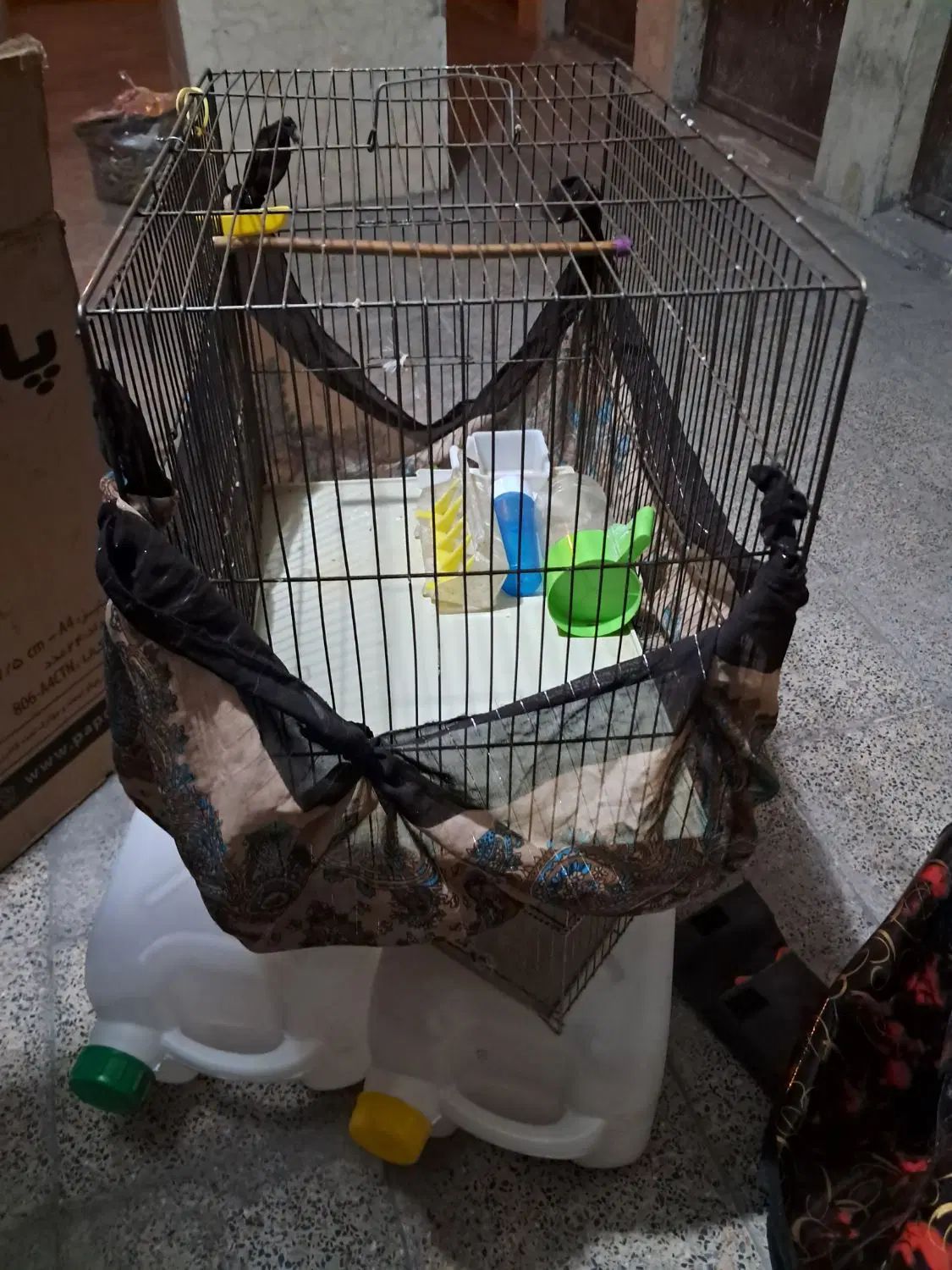 قفس قناری بزرگ|لوازم جانبی حیوانات|شهرکرد, |دیوار