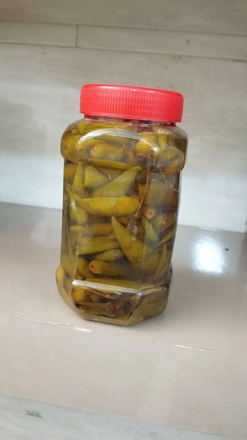 ترشی خانگی خوشمزه وسنتی خیارشور ،فلفل تند|خوردنی و آشامیدنی|مشهد, رستگار|دیوار