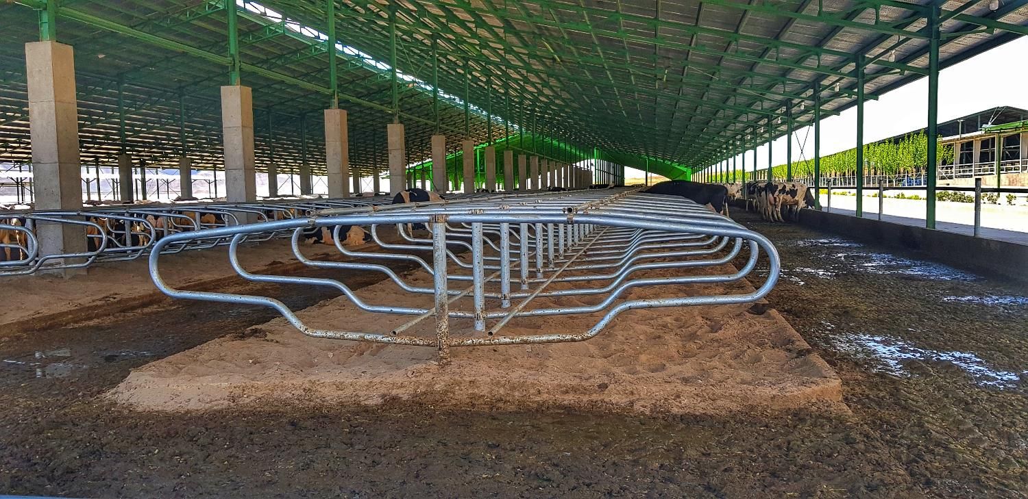 فری استال گاوداری|لوازم جانبی حیوانات|اصفهان, حصه جنوبی|دیوار