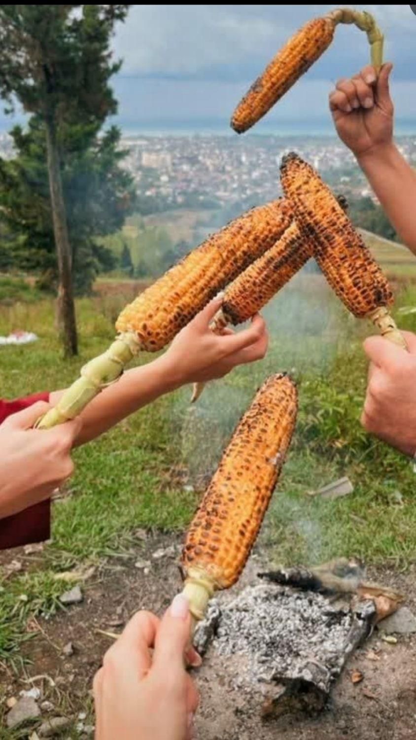 مژده تورمشهدشمال۷شب استثنای نفر۸۰۰/۰۰۰ت تخفیف۸/۳)|تور و چارتر|قم, آذر (نکویی)|دیوار