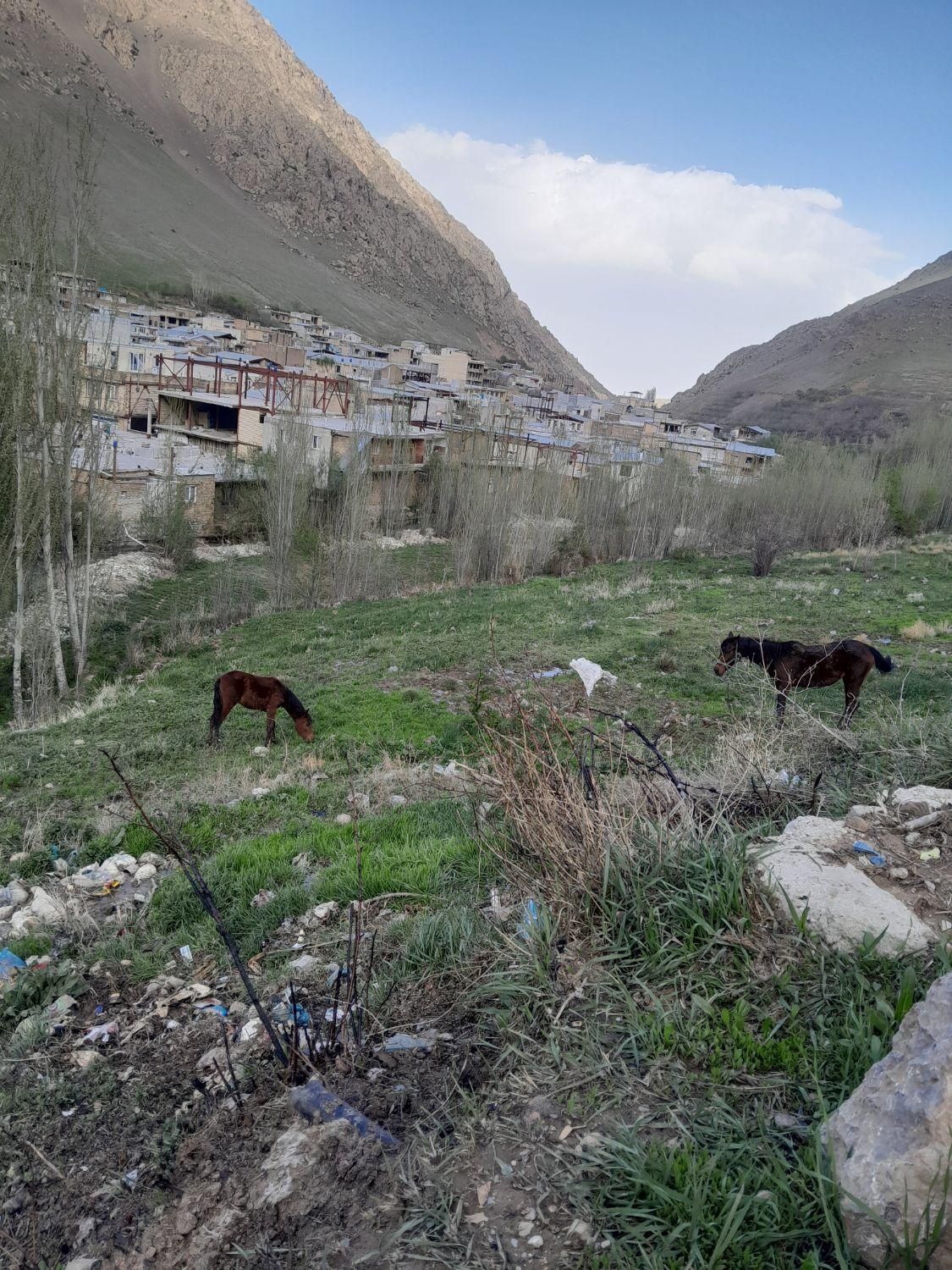 سوئیت اجاره ای با تمام امکانات در ونایی|اجارهٔ کوتاه‌مدت آپارتمان و سوئیت|بروجرد, |دیوار