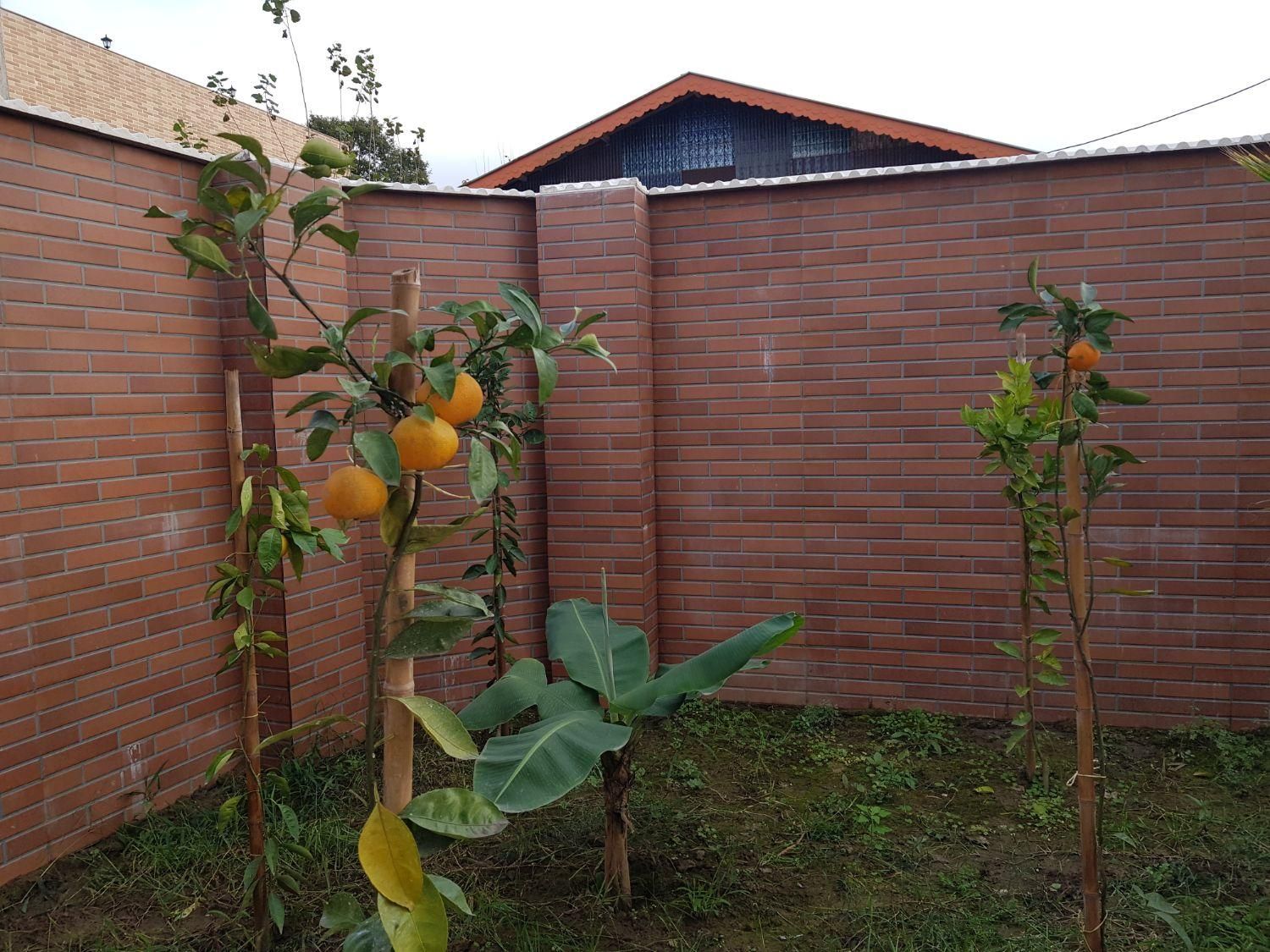 فروش ویلای دوبلکس در مکانی امن و آرام ، گیلان-رشت|فروش خانه و ویلا|رشت, احمد گوراب|دیوار