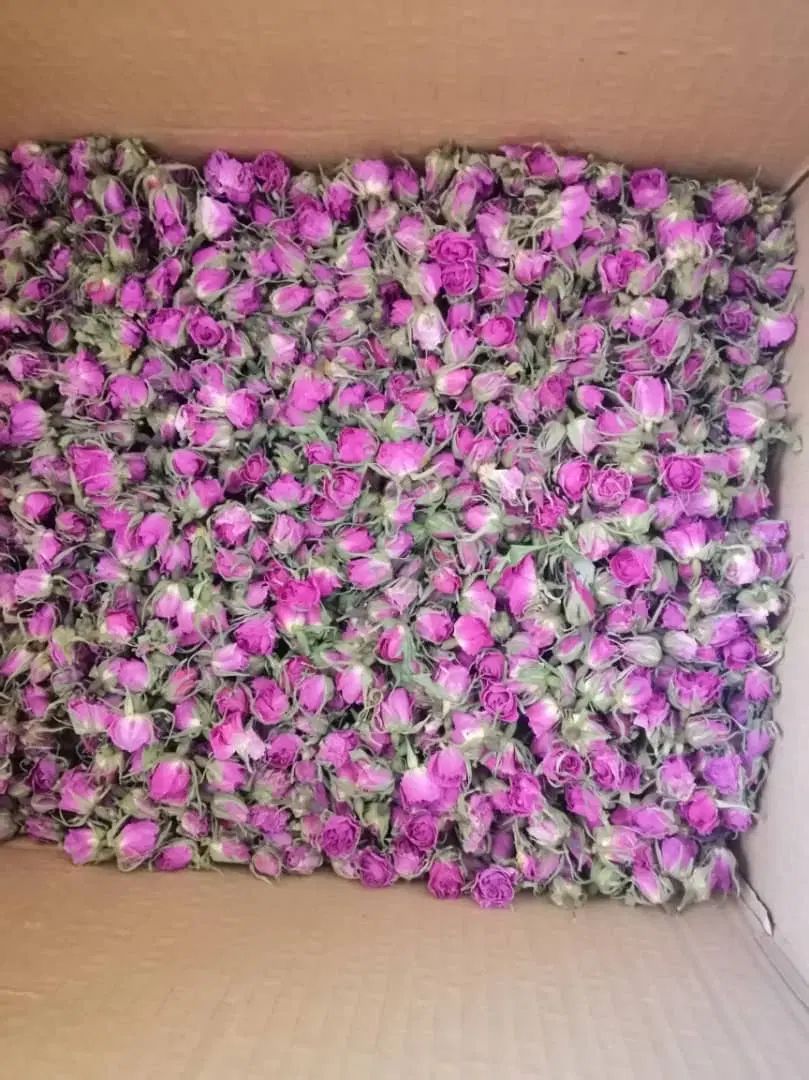 سرمایه گذاری و استخدام جهت تحویل هل .فرش .گل|استخدام مالی، حسابداری، حقوقی|تهران, آذربایجان|دیوار