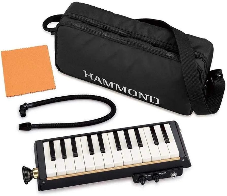 ملودیکا باس ۲۴ هموند پیکاپ دار hammond|پیانو، کیبورد، آکاردئون|تهران, شهرک غرب|دیوار