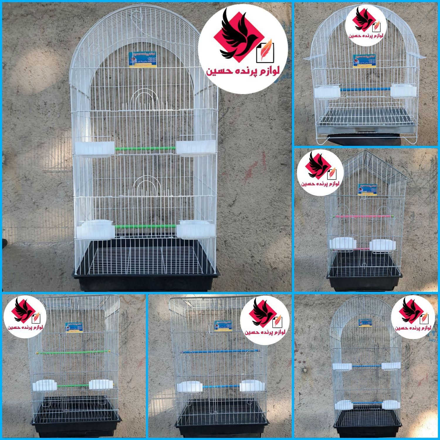 انواع قفس،دانه و لوازم پرنده (حسین)|لوازم جانبی حیوانات|ملایر, |دیوار