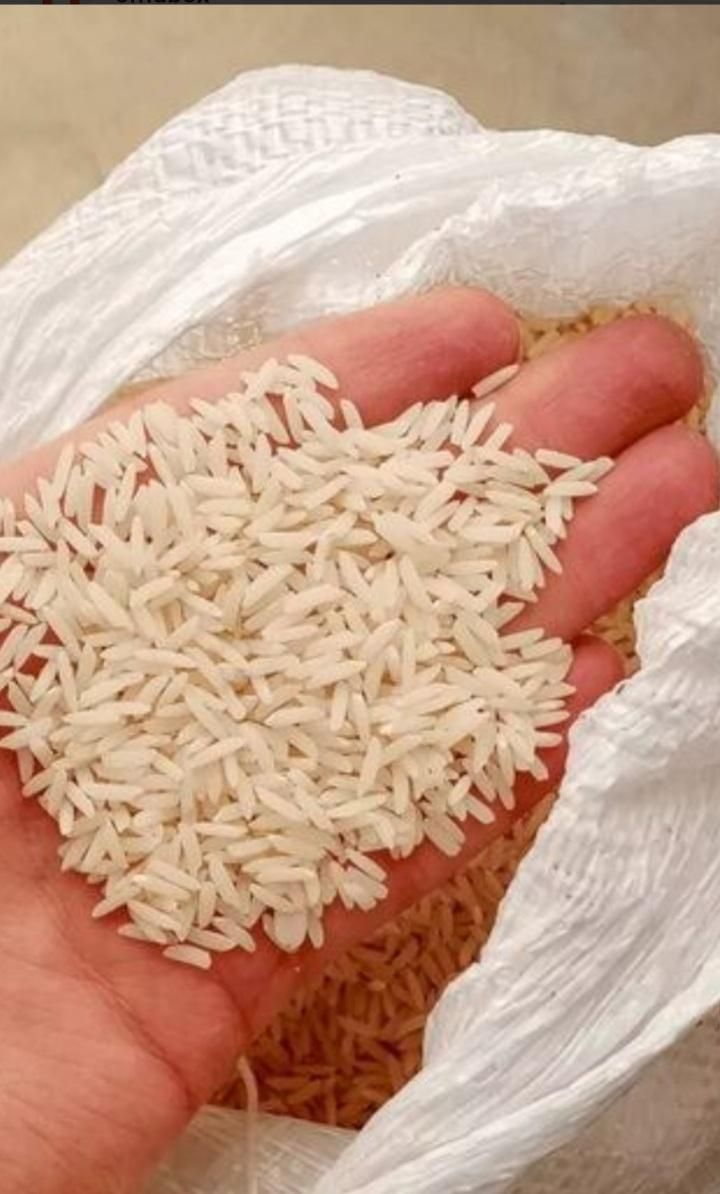 برنج هاشمی و طارم استان گیلان|خوردنی و آشامیدنی|تهران, صادقیه|دیوار