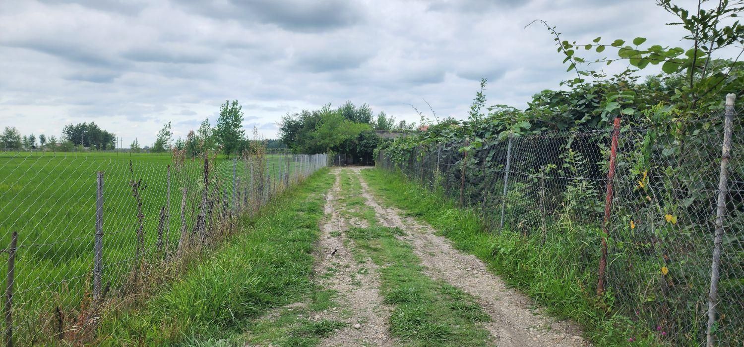 فروش زمین /مزرعه ۸۲۰۰ /مترمربع/ خاصه سرا/جماکو|فروش زمین و ملک کلنگی|تالش, هشتپر|دیوار