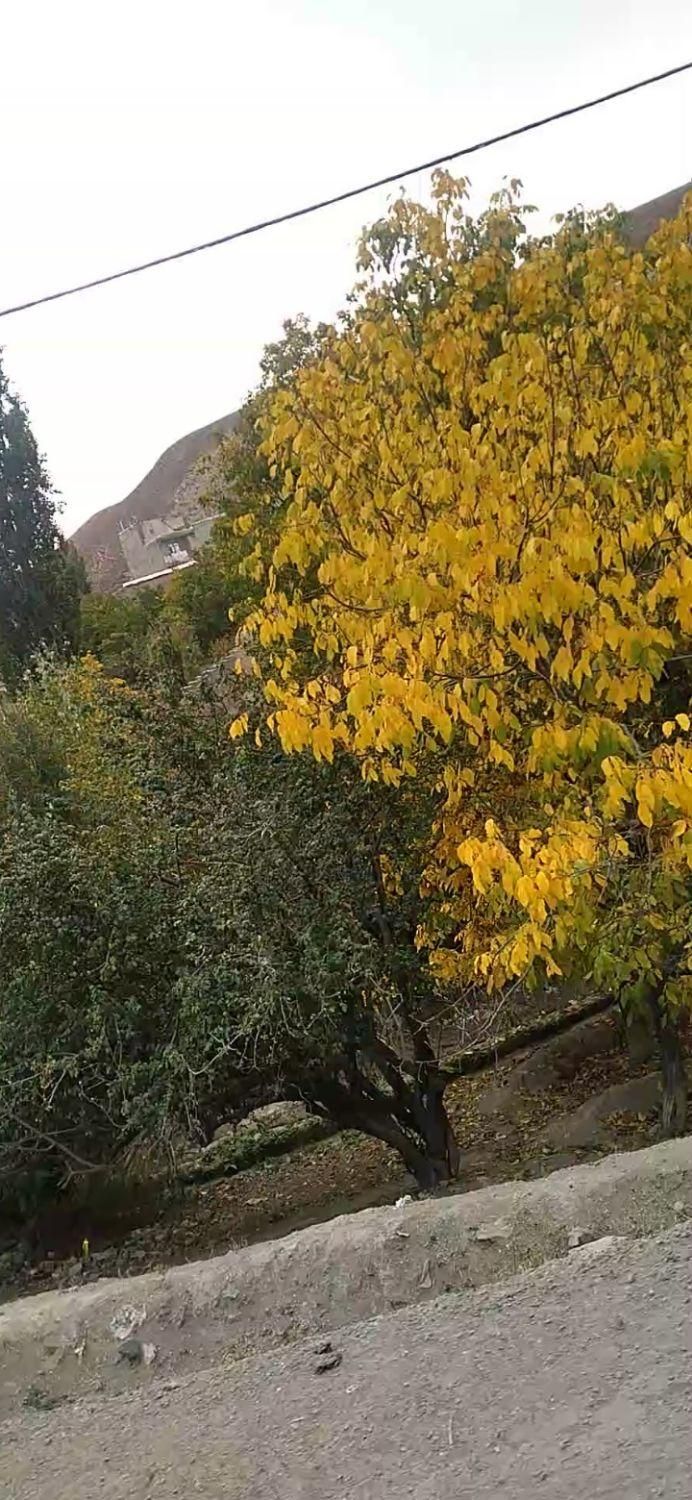 آپارتمان اجاره ای|اسکان اضطراری|رودهن, |دیوار