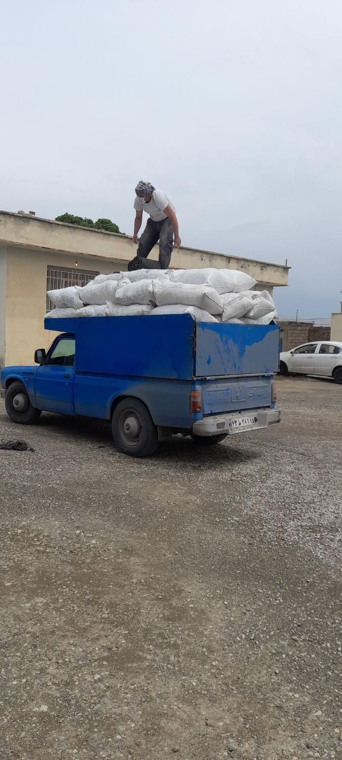 کود دهی ریتق کبوتر شیروانی و سوله|خدمات باغبانی و درختکاری|ازنا, |دیوار