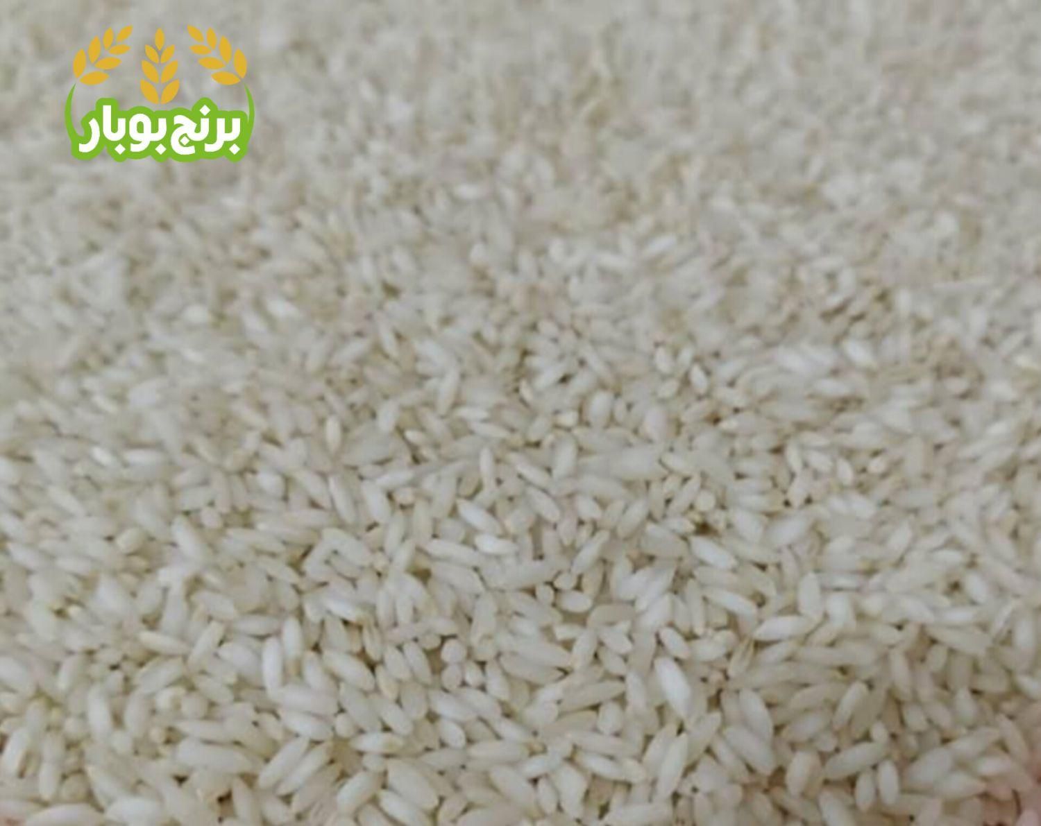 برنج عنبر بو ممتاز خوش عطر سورت شده، یکدست،شوشتر|خوردنی و آشامیدنی|اصفهان, پروین|دیوار
