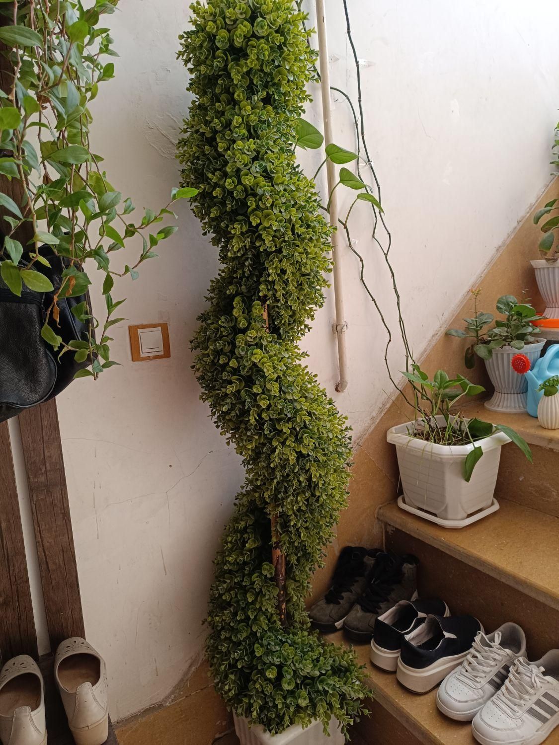 گل زیبــا|گل مصنوعی|کوهدشت, |دیوار