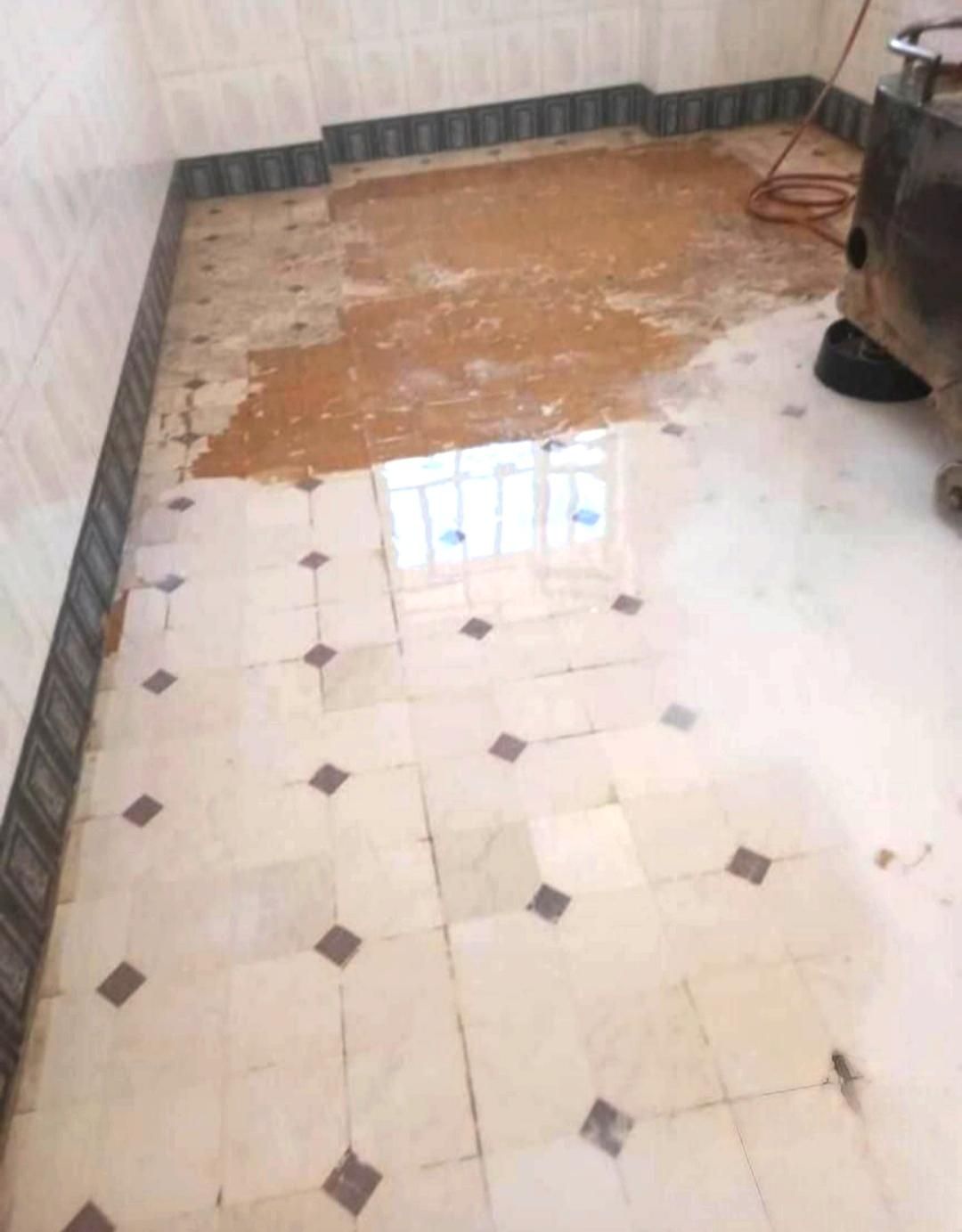 خدمات کاشی سابی سنگ سابی کف سابی ساب انواع موزاییک|خدمات نظافت|شیراز, پانصد دستگاه ارتش|دیوار