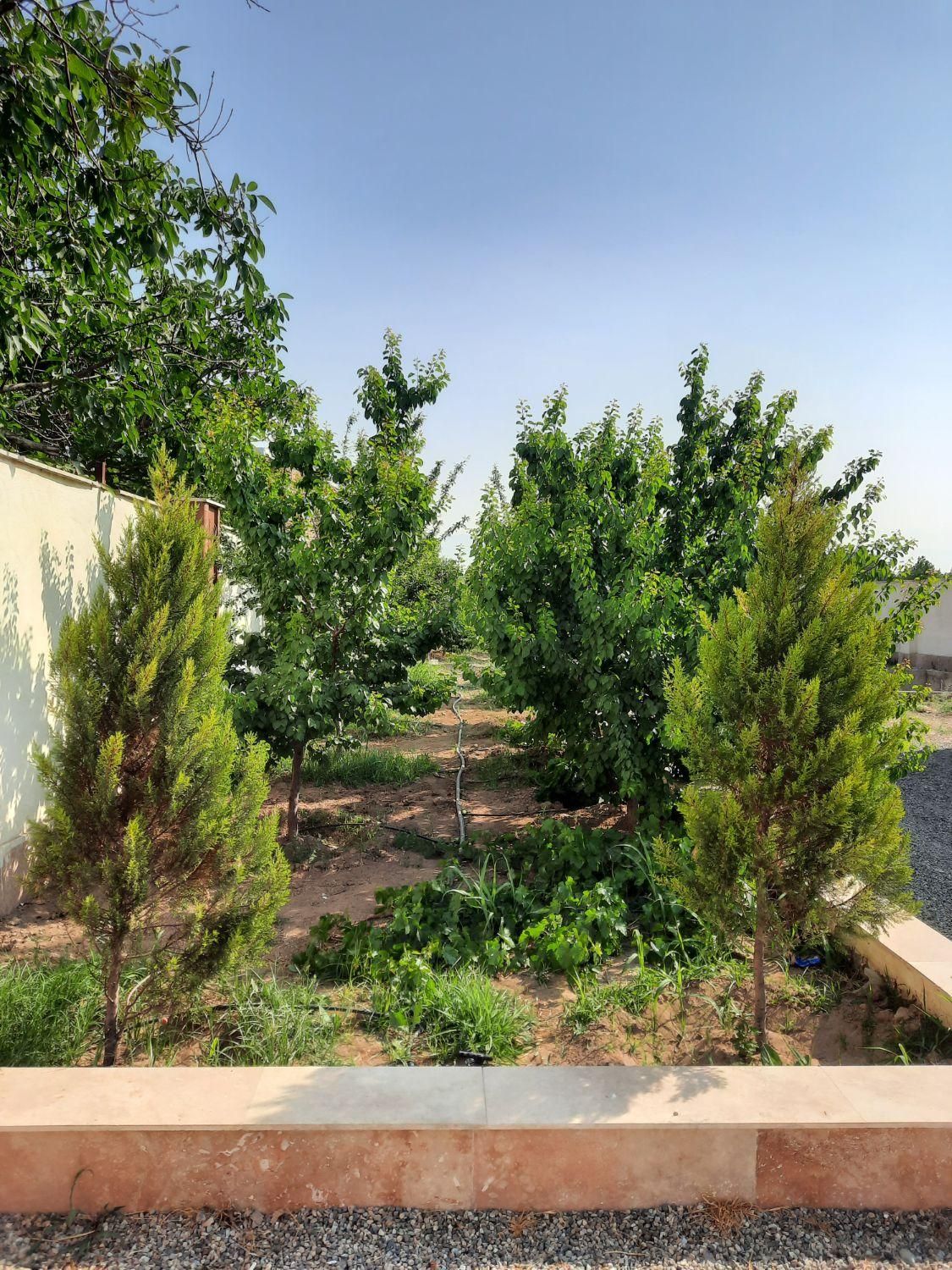 اجاره روزانه باغ ویلا/ سوئیت ، پاره وقت ،پاره وقت|اجارهٔ کوتاهمدت آپارتمان و سوئیت|نظرآباد, نظرآباد|دیوار