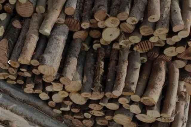 هیزم شومینه ای|بخاری، هیتر، شومینه|کلاردشت, |دیوار