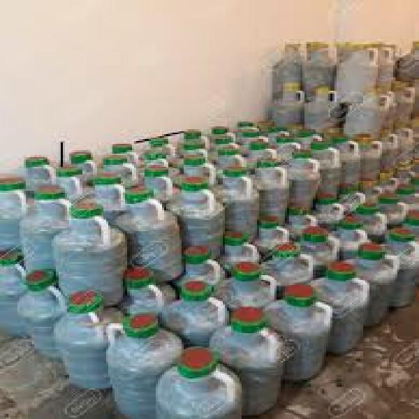 پخش خیار شور شیروان (پخش خیارشور رنجبر)|خوردنی و آشامیدنی|مشهد, نوید|دیوار