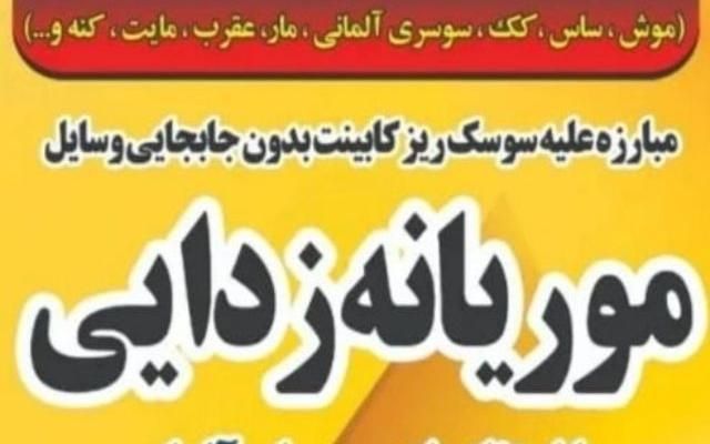 موریانه|خدمات نظافت|بهبهان, |دیوار