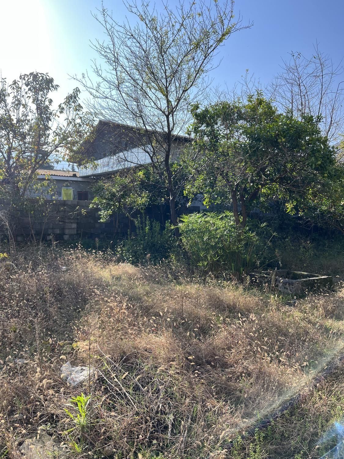 ۲۴۵۰ مترمربع بَرِ اتوبان اصلی ۲ کله تراکم ۱۰ طبقه|فروش زمین و ملک کلنگی|رامسر, |دیوار