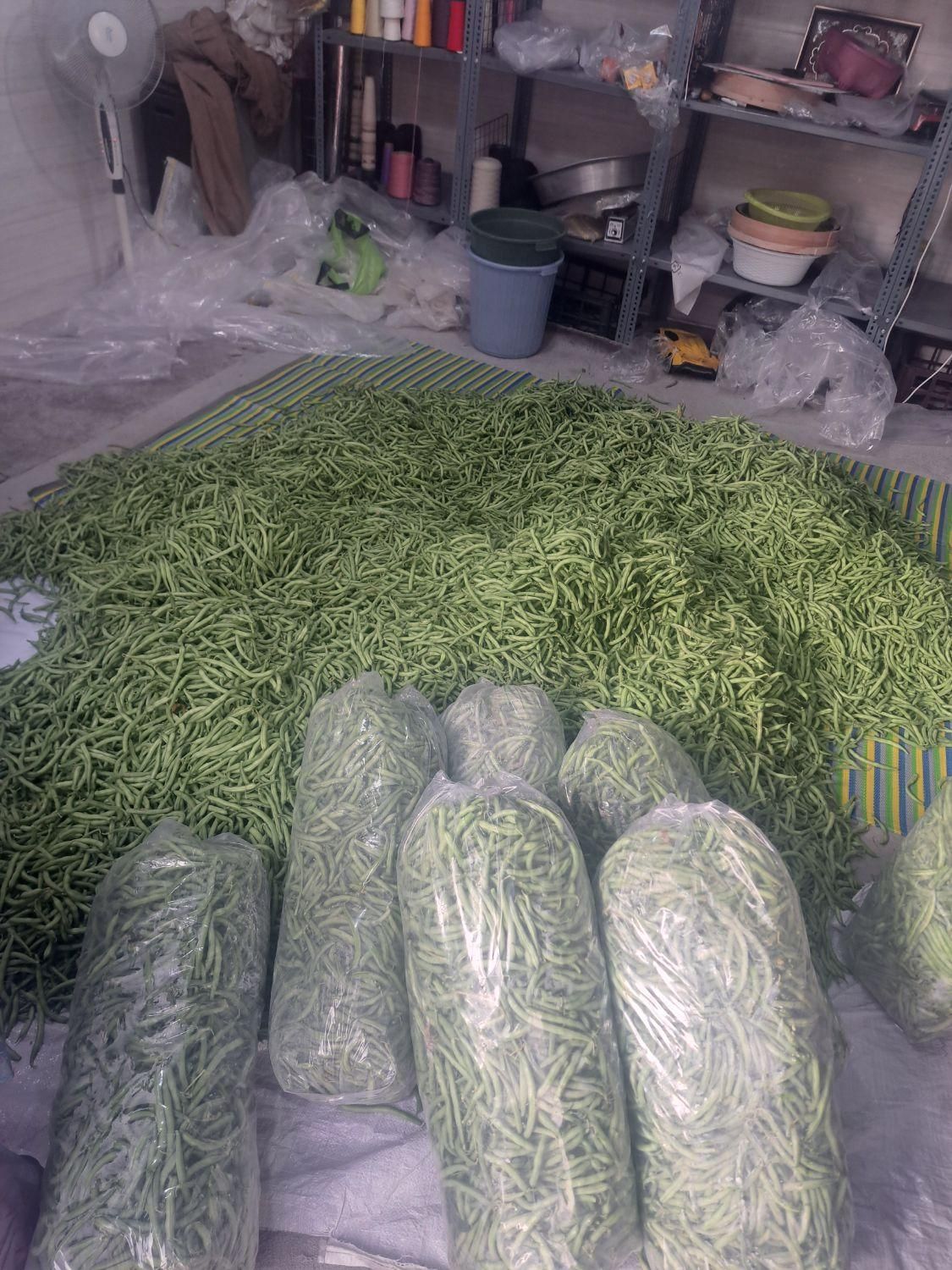 سبزی خردکنی،لوبیاسبز،هویج ،بادمجان کباب و سرخ،کرفس|خوردنی و آشامیدنی|تهران, تهرانسر شرقی|دیوار