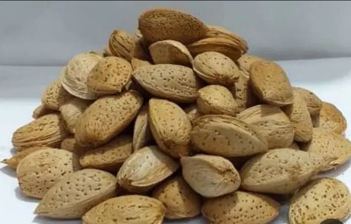فروش بادام دیم شیرین|خوردنی و آشامیدنی|تهران, ورزشگاه آزادی|دیوار