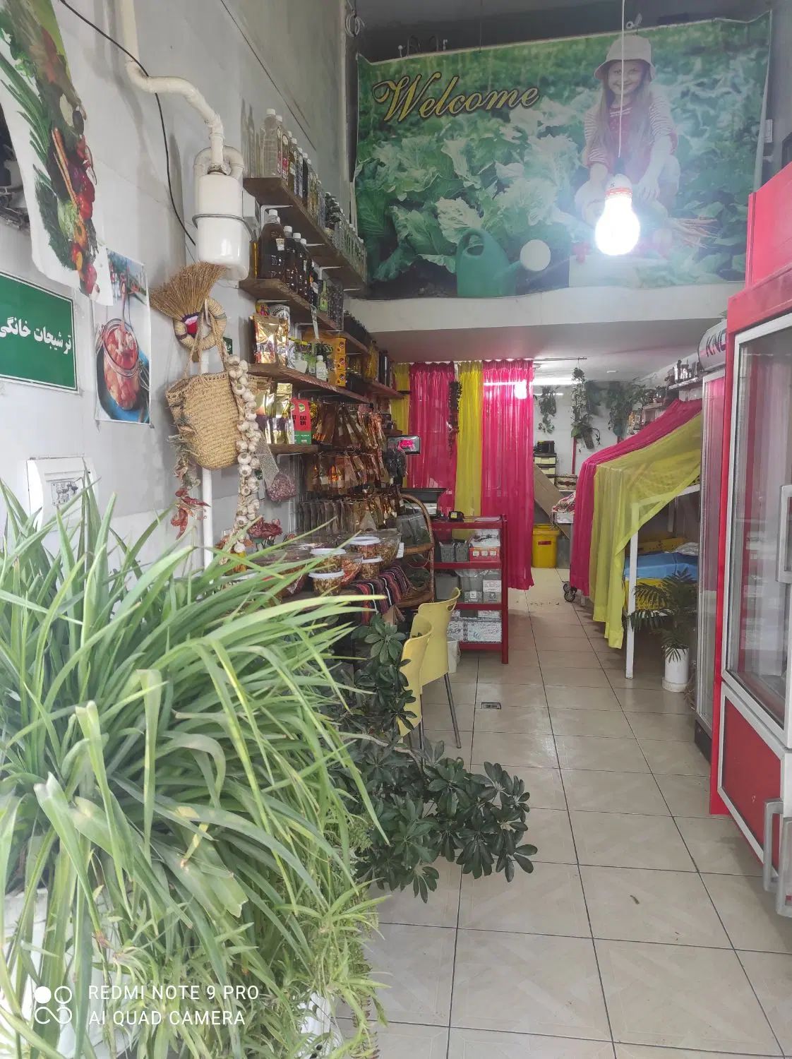 پخش عمده...جزیی.سبزیجات سرخ شده گیلانی وکرج|فعالیت داوطلبانه|کرج, عظیمیه|دیوار